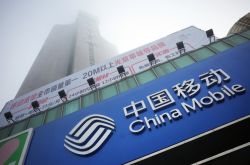 【教程经验】恩施土家族苗族自治州政府网_哔哩哔哩-2
